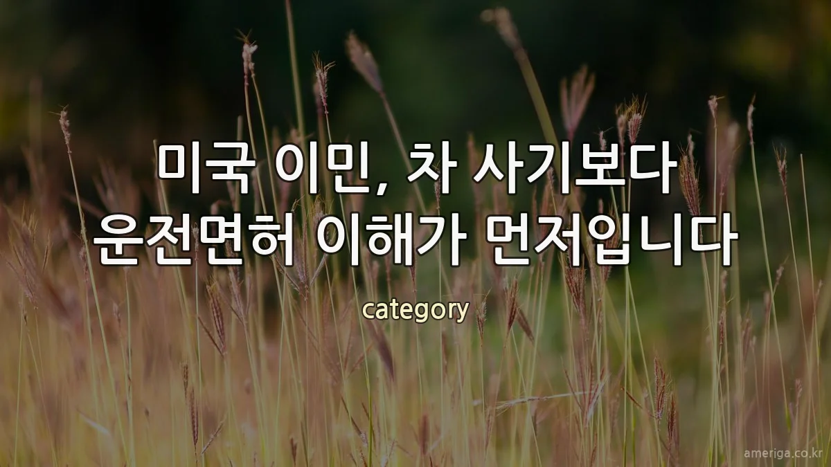 미국 이민, 차 사기보다 운전면허 이해가 먼저입니다
