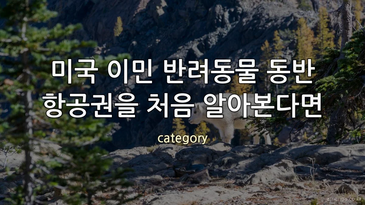 미국 이민 반려동물 동반 항공권을 처음 알아본다면