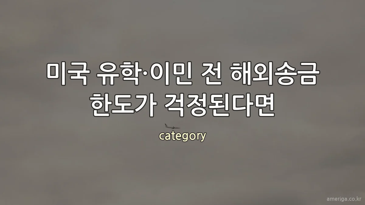 미국 유학·이민 전 해외송금 한도가 걱정된다면