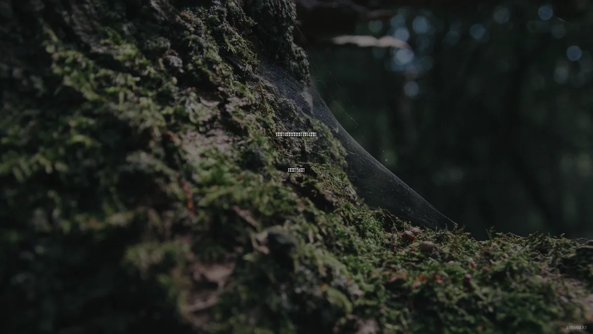 트렌디 라이프스타일을 위한 숨겨진 활용법 5가지