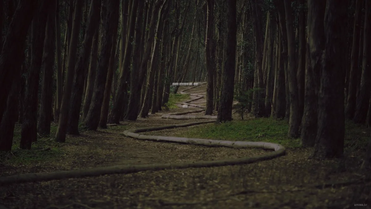 트렌디한 라이프스타일 실수, 해결법 총정리