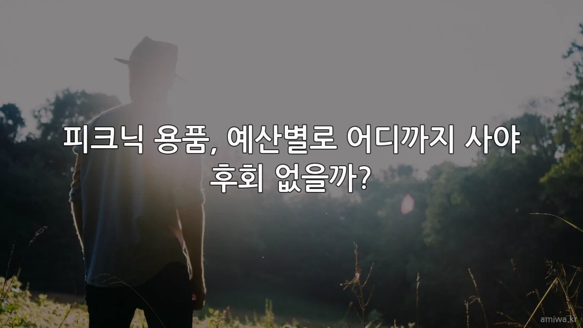 피크닉 용품, 예산별로 어디까지 사야 후회 없을까?