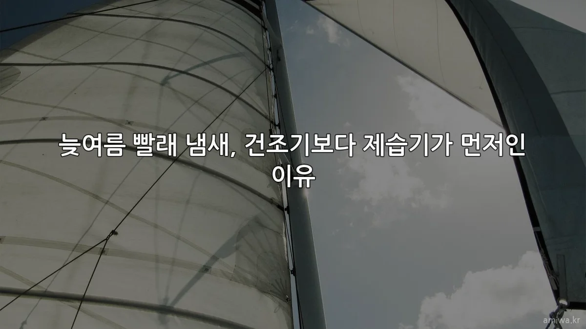 늦여름 빨래 냄새, 건조기보다 제습기가 먼저인 이유