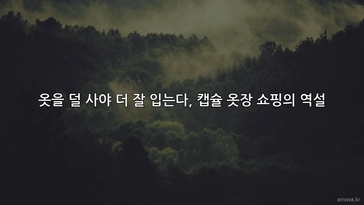 옷을 덜 사야 더 잘 입는다, 캡슐 옷장 쇼핑의 역설