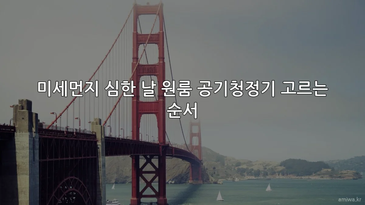 미세먼지 심한 날 원룸 공기청정기 고르는 순서