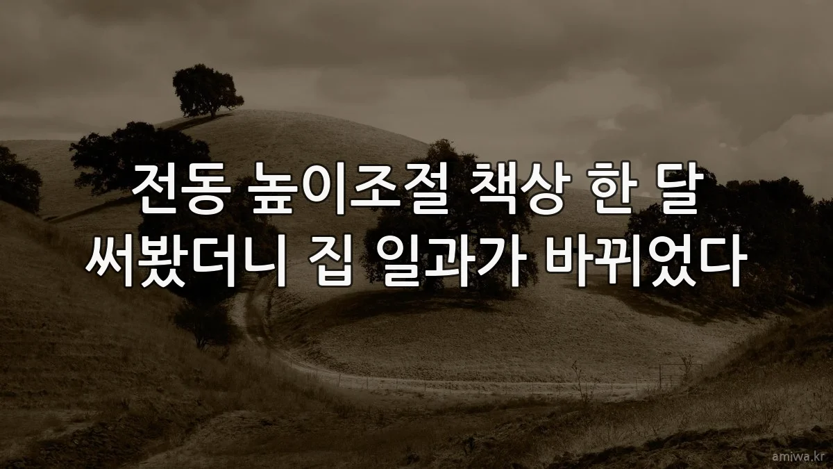 전동 높이조절 책상 한 달 써봤더니 집 일과가 바뀌었다