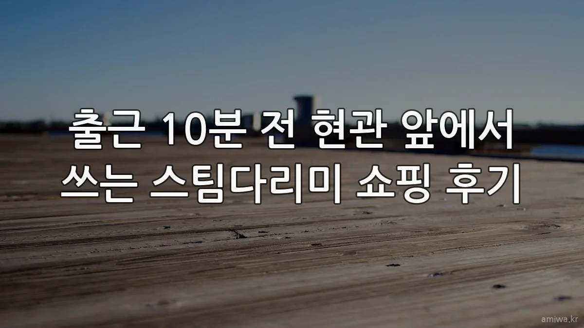 출근 10분 전 현관 앞에서 쓰는 스팀다리미 쇼핑 후기