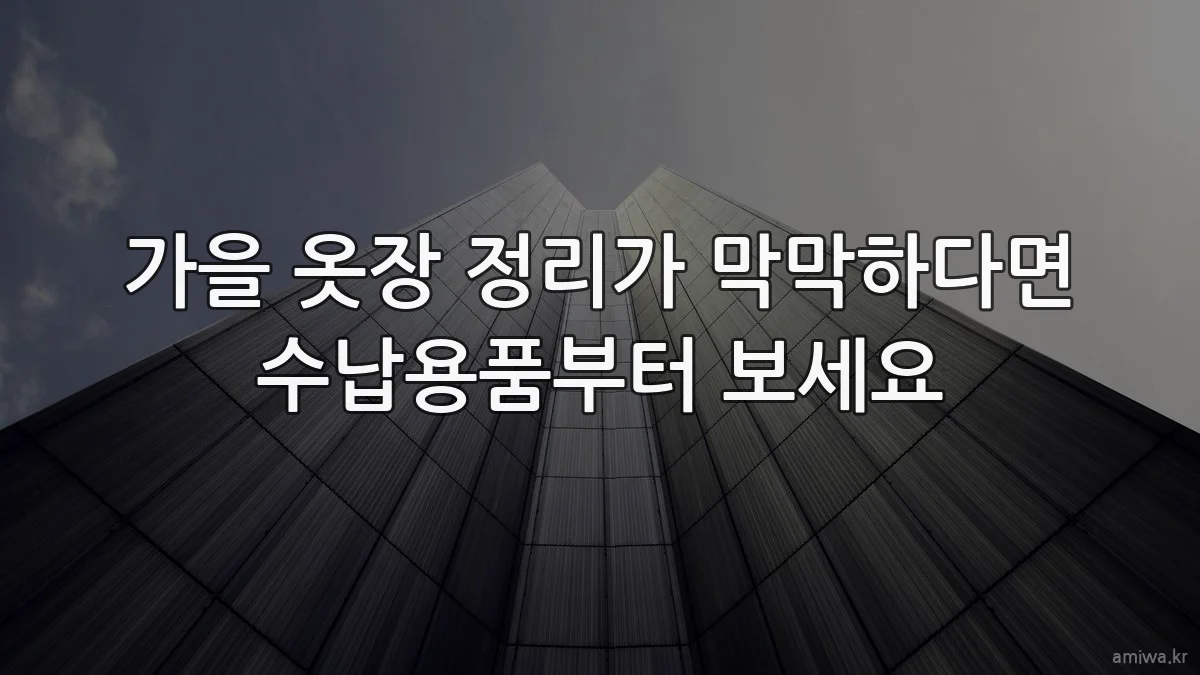 가을 옷장 정리가 막막하다면 수납용품부터 보세요
