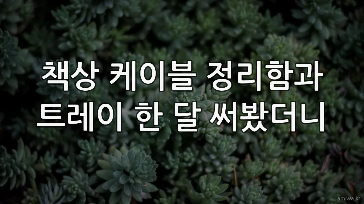 책상 케이블 정리함과 트레이 한 달 써봤더니