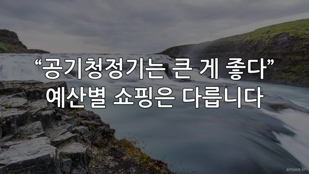 “공기청정기는 큰 게 좋다” 예산별 쇼핑은 다릅니다