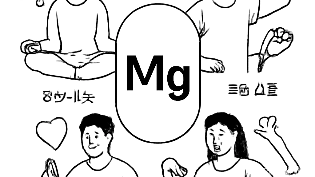 마그네슘의 놀라운 …