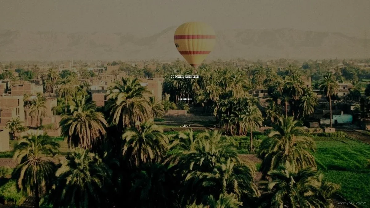 2026년 겨울, 개발자에게 추천하는 프로젝트 아이디어