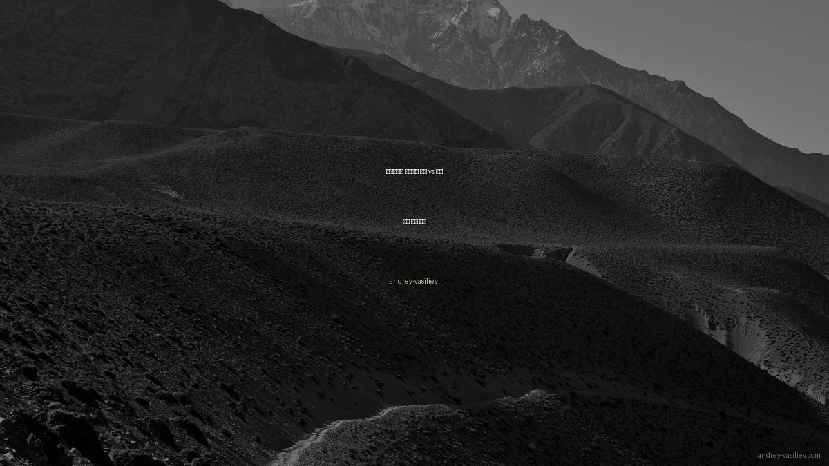 포트폴리오 웹사이트 빌더 vs 코드 작성 직접 비교