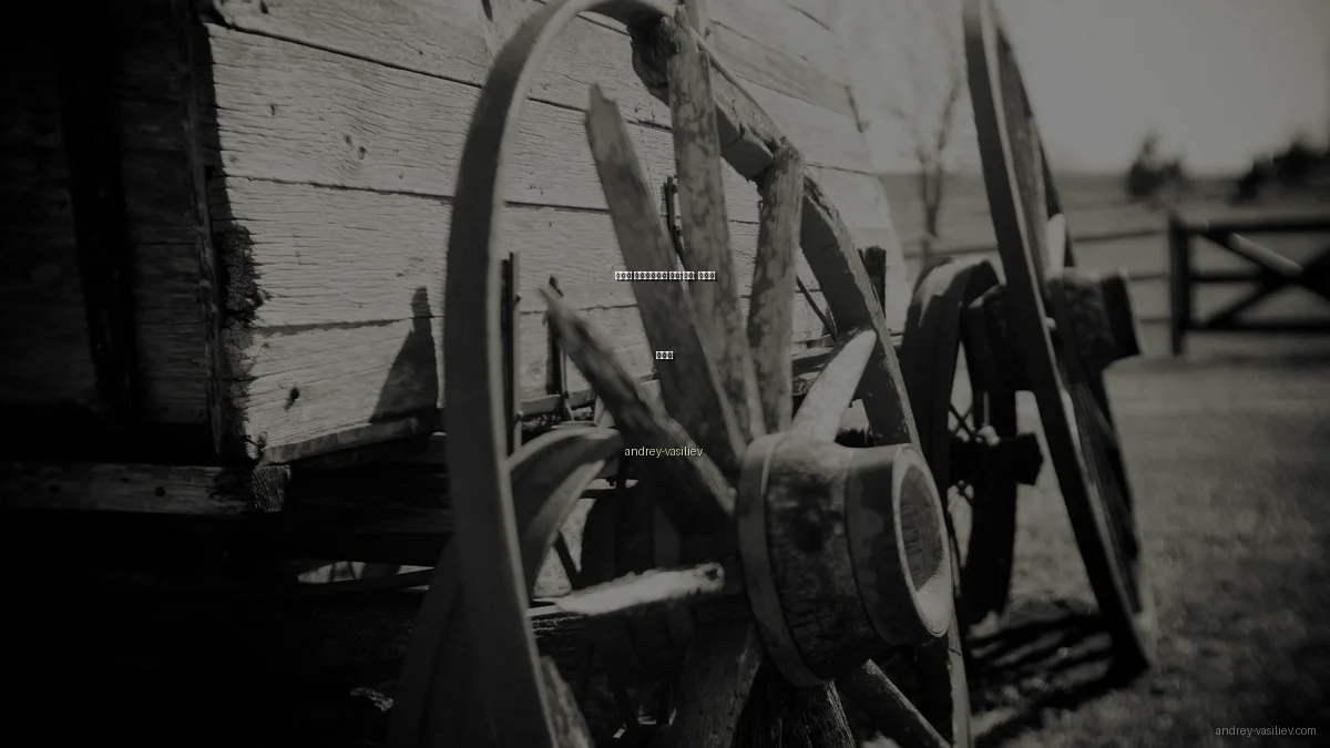 개발자 포트폴리오의 성공 비결: 전문가 인터뷰