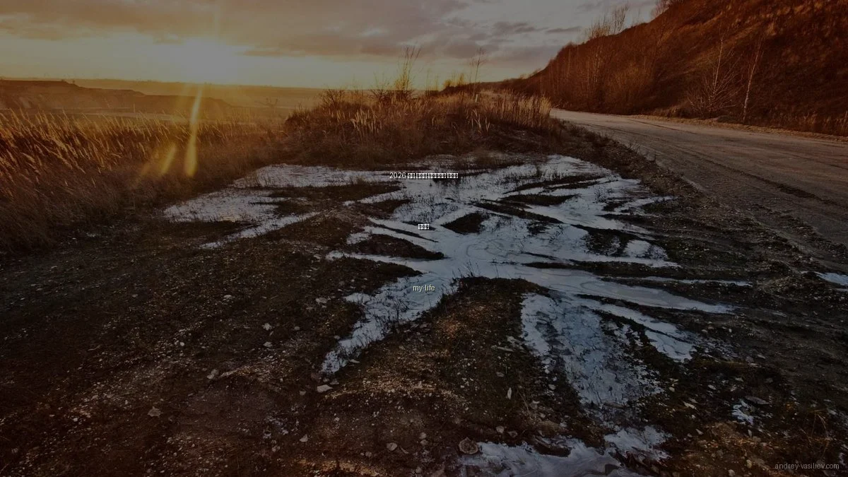 2026 봄철 개발자 포트폴리오 최적화 가이드