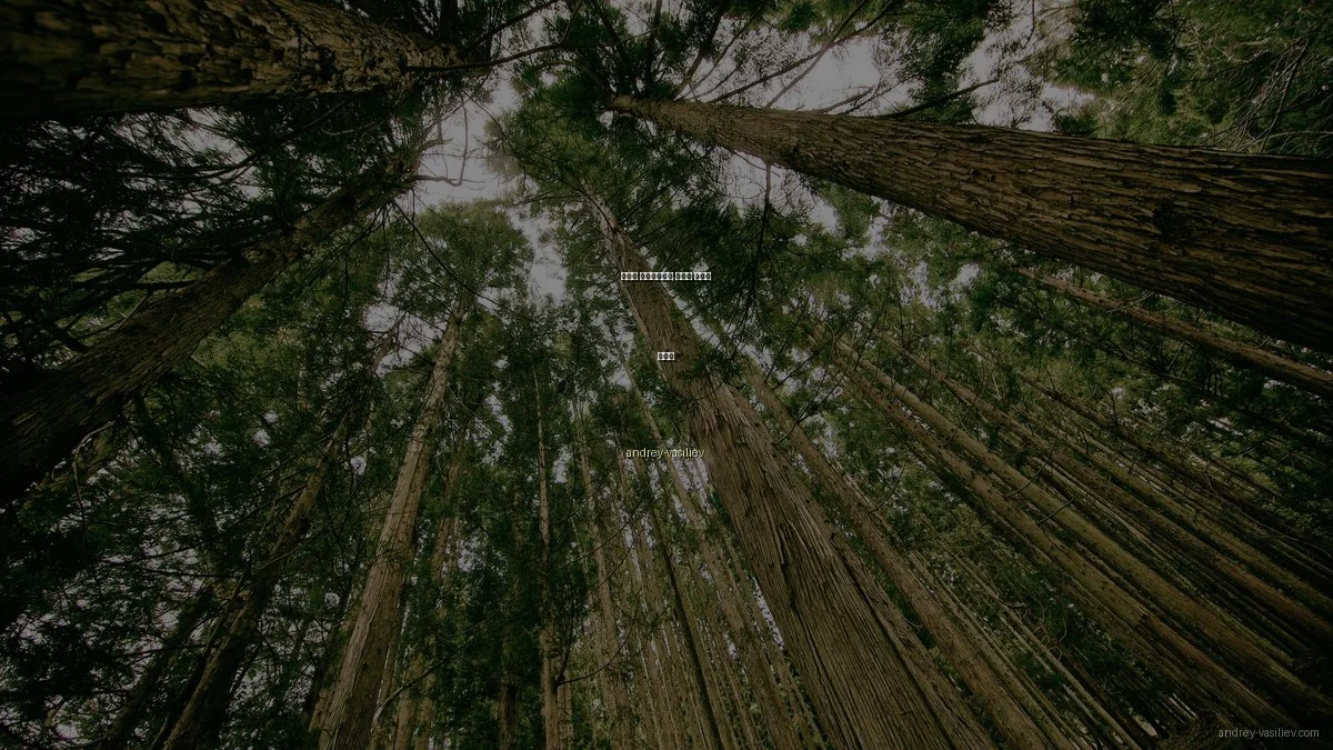 개발자 포트폴리오의 숨겨진 꿀팁과 활용법