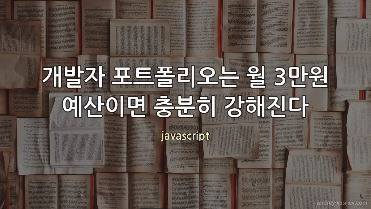 개발자 포트폴리오는 월 3만원 예산이면 충분히 강해진다