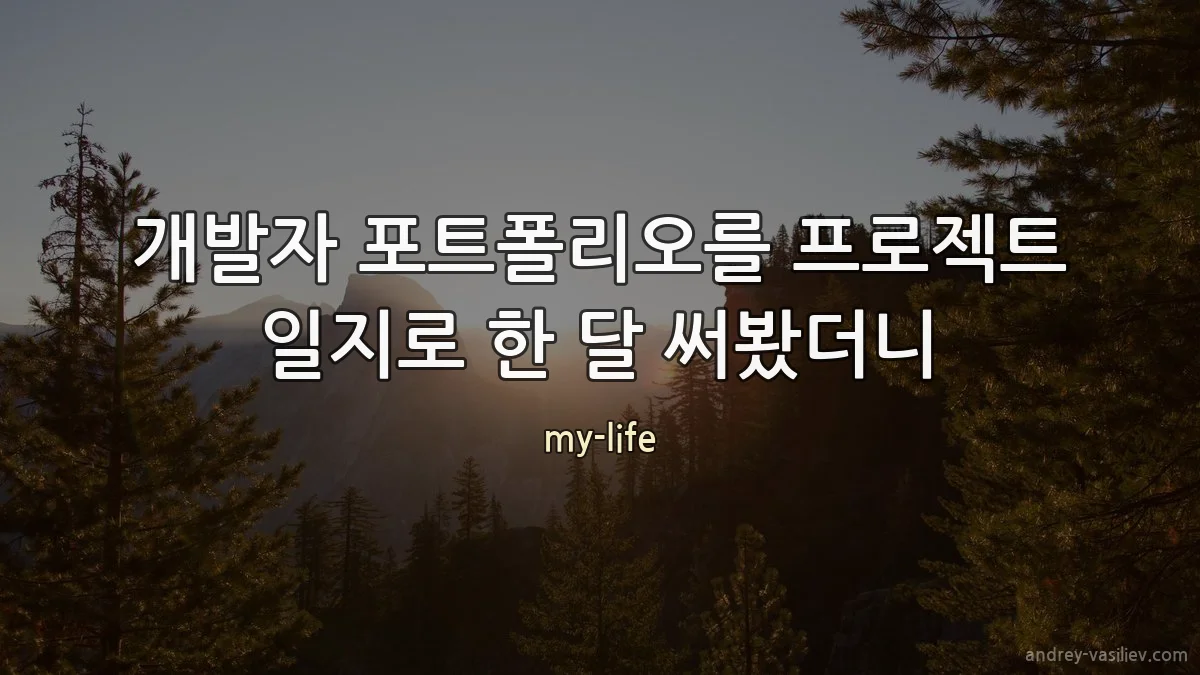 개발자 포트폴리오를 프로젝트 일지로 한 달 써봤더니