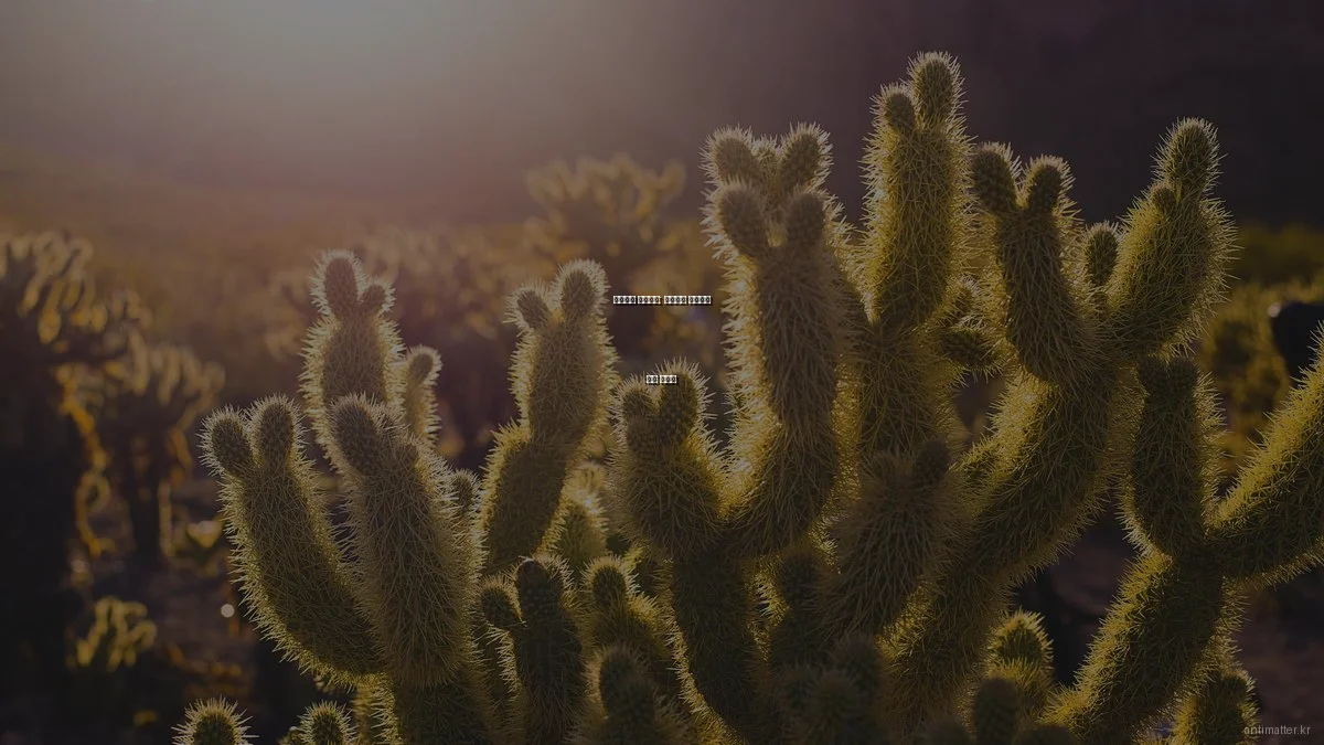 안티매터 이해하기: 기초부터 활용까지 완벽 가이드