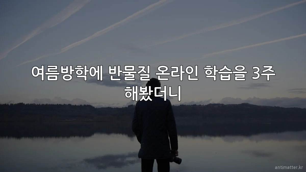여름방학에 반물질 온라인 학습을 3주 해봤더니