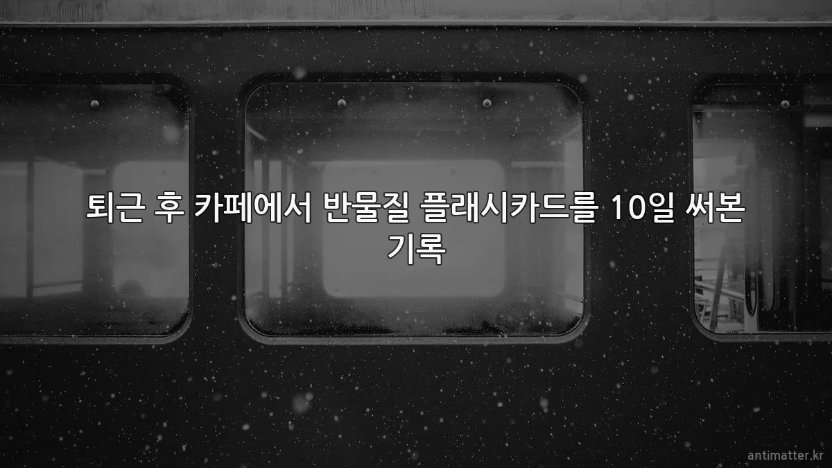 퇴근 후 카페에서 반물질 플래시카드를 10일 써본 기록