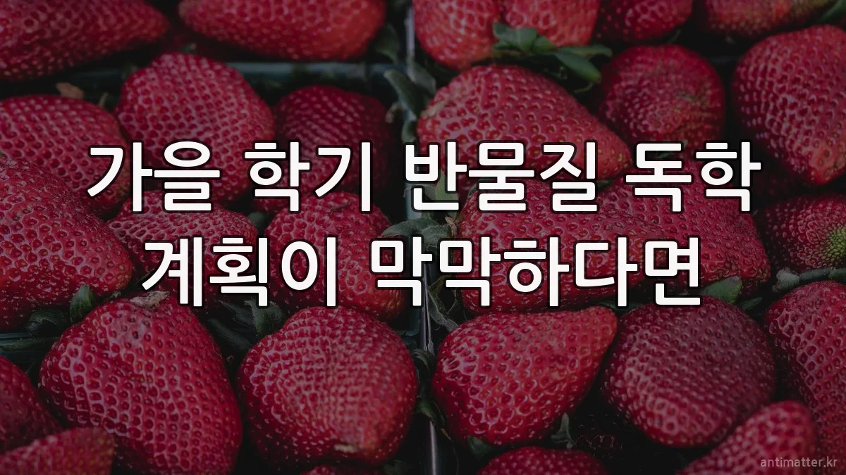가을 학기 반물질 독학 계획이 막막하다면