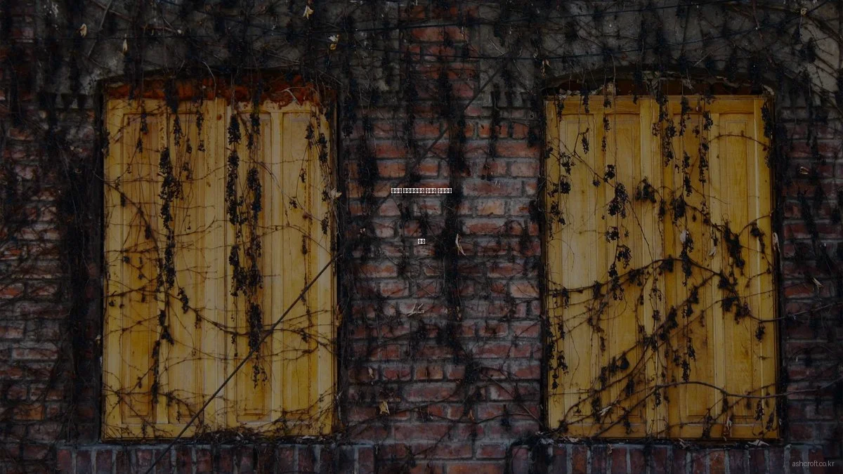 봄맞이 애쉬크로프트 안경테 스타일링 비법