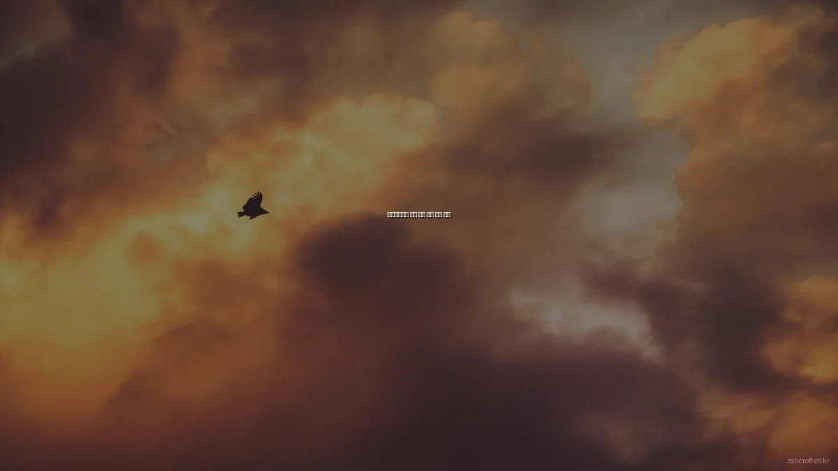 애쉬크로프트 안경 인기 모델 비교 분석