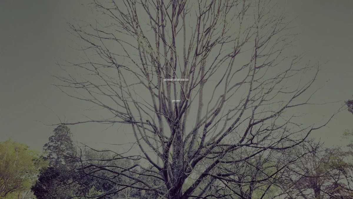 애쉬크로프트 안경 관리 꿀팁과 흔한 실수 방지법