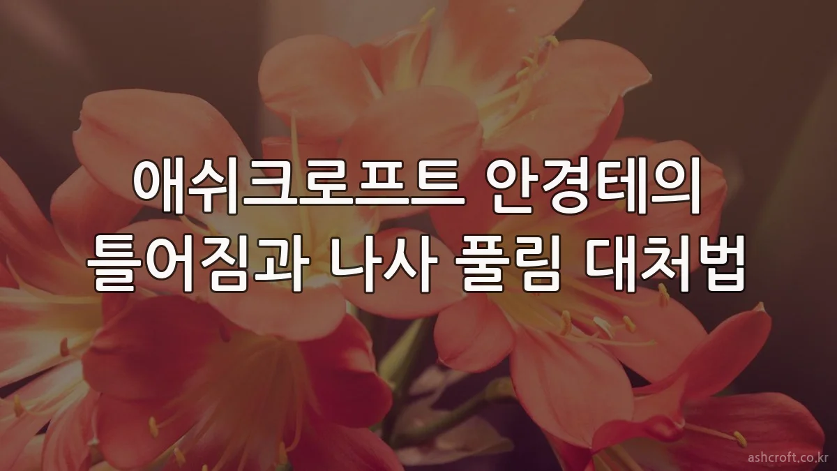 애쉬크로프트 안경테의 틀어짐과 나사 풀림 대처법