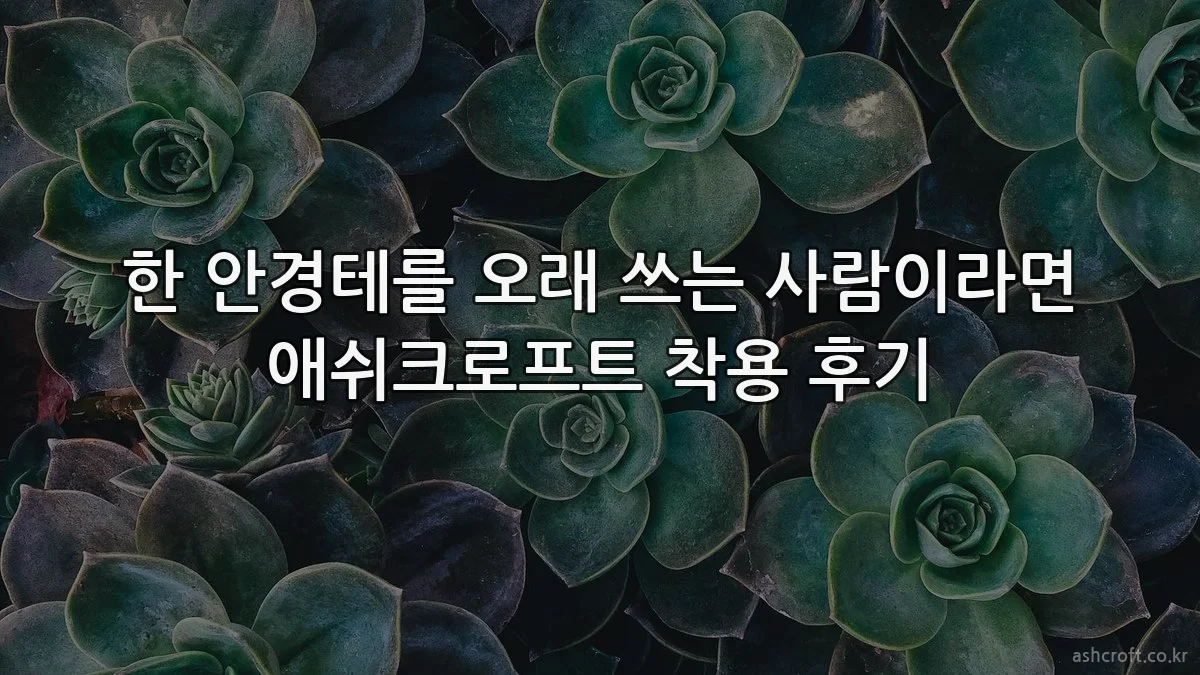 한 안경테를 오래 쓰는 사람이라면 애쉬크로프트 착용 후기