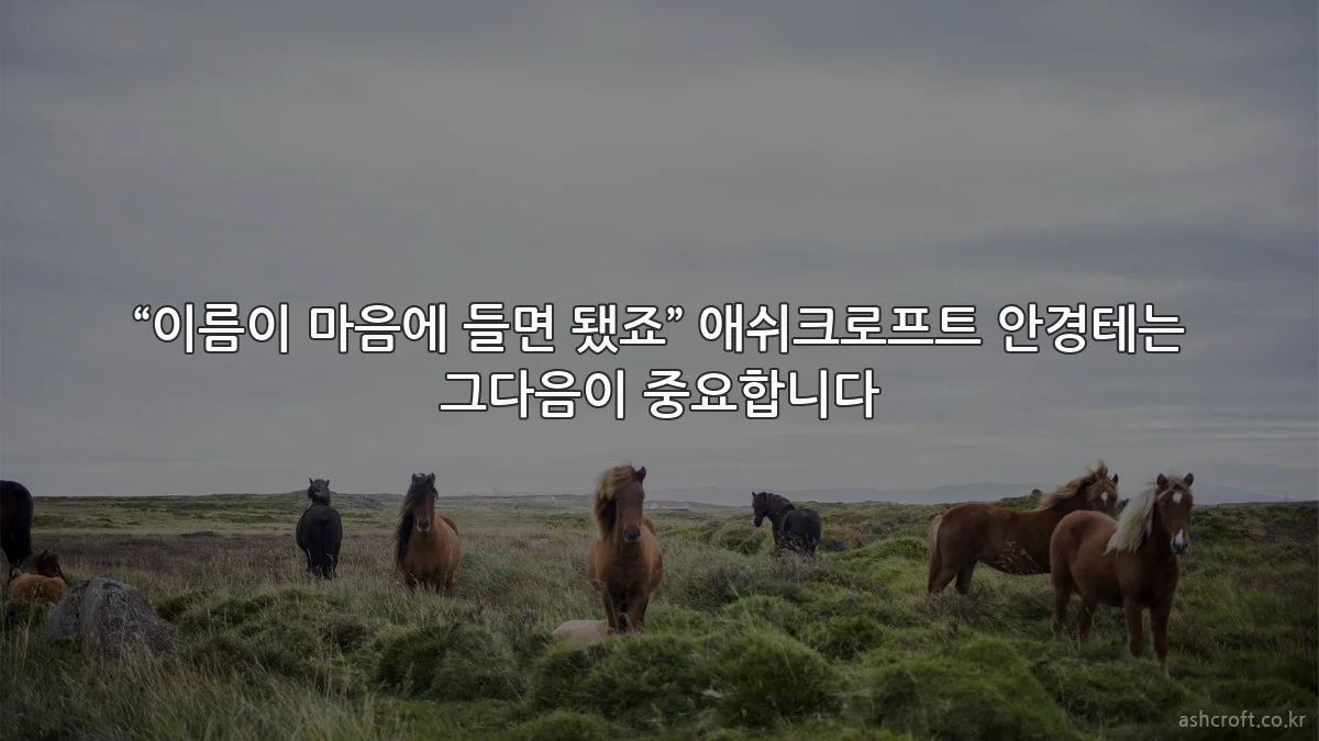 “이름이 마음에 들면 됐죠” 애쉬크로프트 안경테는 그다음이 중요합니다