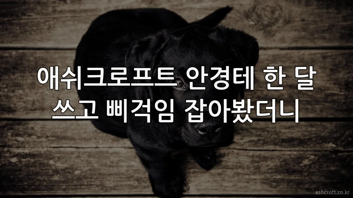 애쉬크로프트 안경테 한 달 쓰고 삐걱임 잡아봤더니