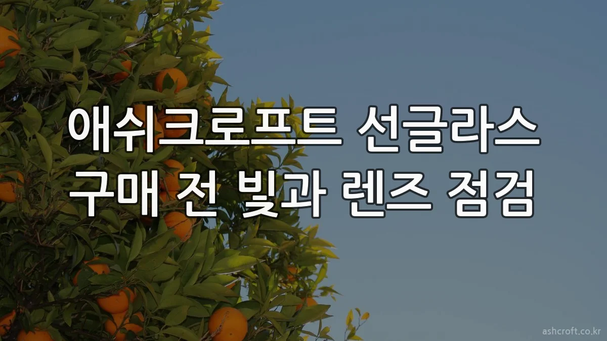 애쉬크로프트 선글라스 구매 전 빛과 렌즈 점검