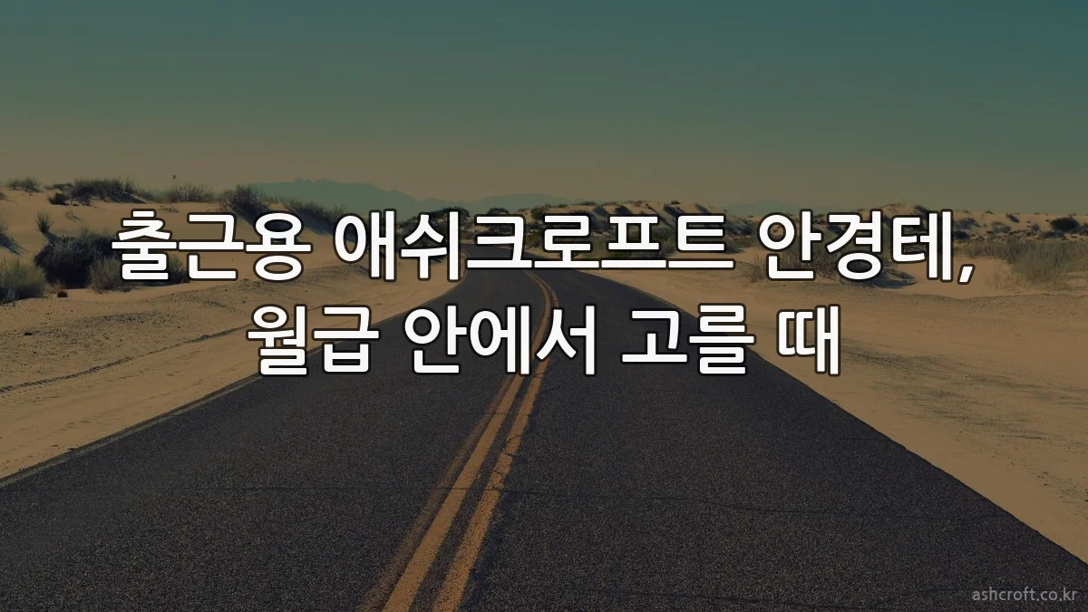 출근용 애쉬크로프트 안경테, 월급 안에서 고를 때