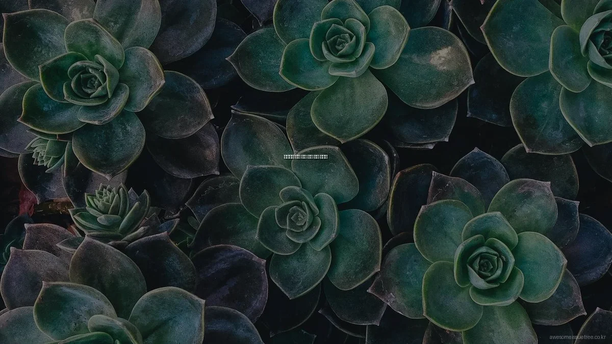 초보자를 위한 사회 이슈 분석 가이드