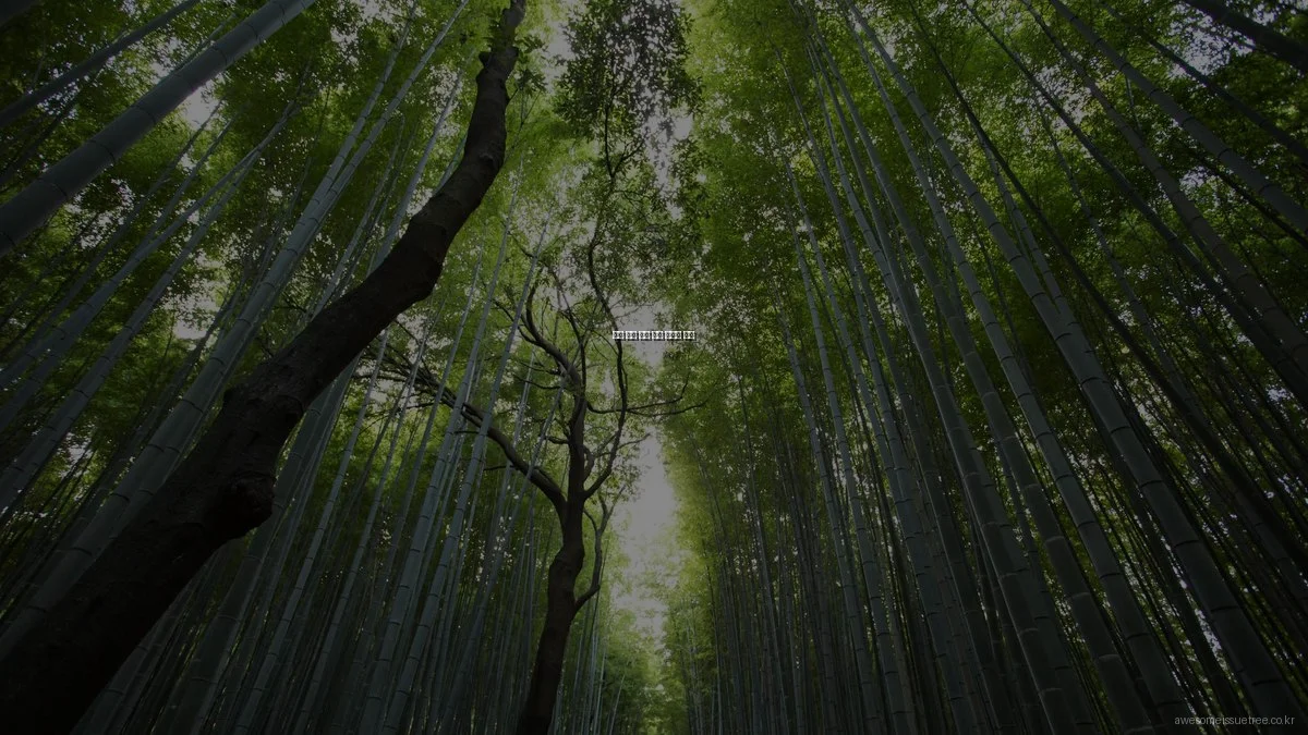 사회 이슈 분석 실패 사례와 교훈