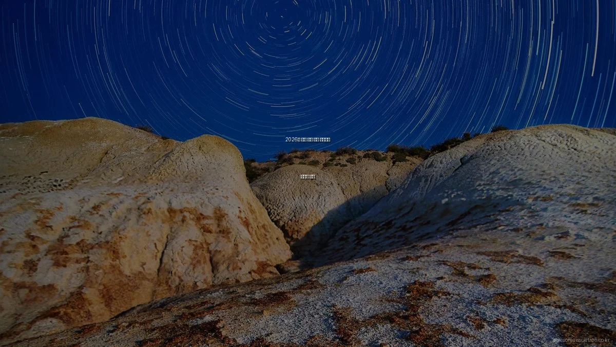 2026년 사회 이슈 분석 커뮤니티 실사용 후기