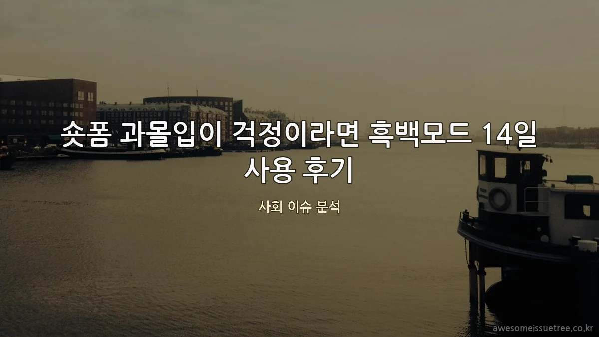 숏폼 과몰입이 걱정이라면 흑백모드 14일 사용 후기
