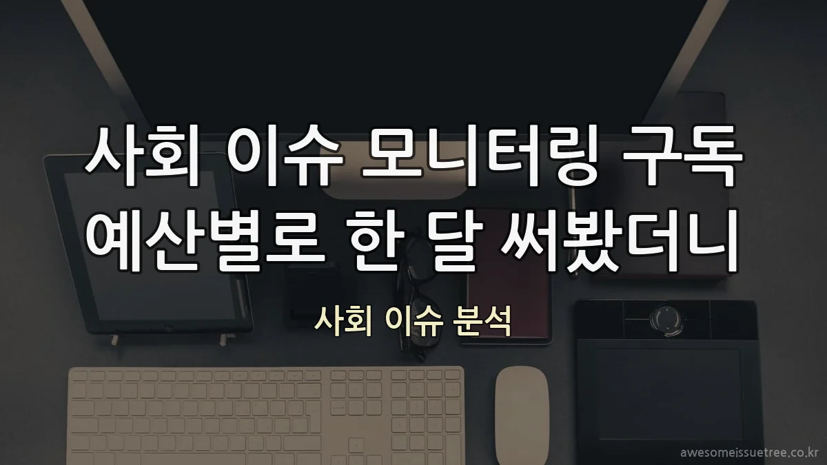 사회 이슈 모니터링 구독 예산별로 한 달 써봤더니