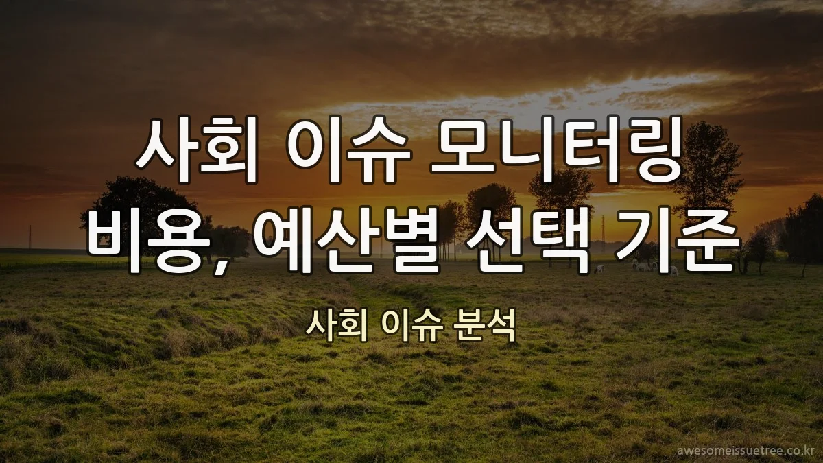 사회 이슈 모니터링 비용, 예산별 선택 기준