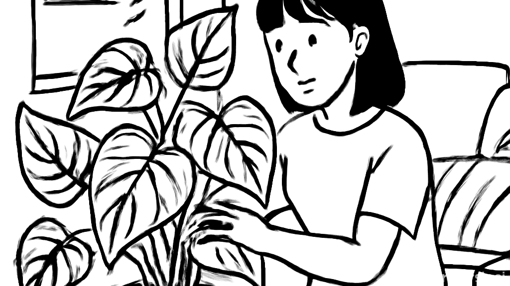 피치힙 황서이를 키…