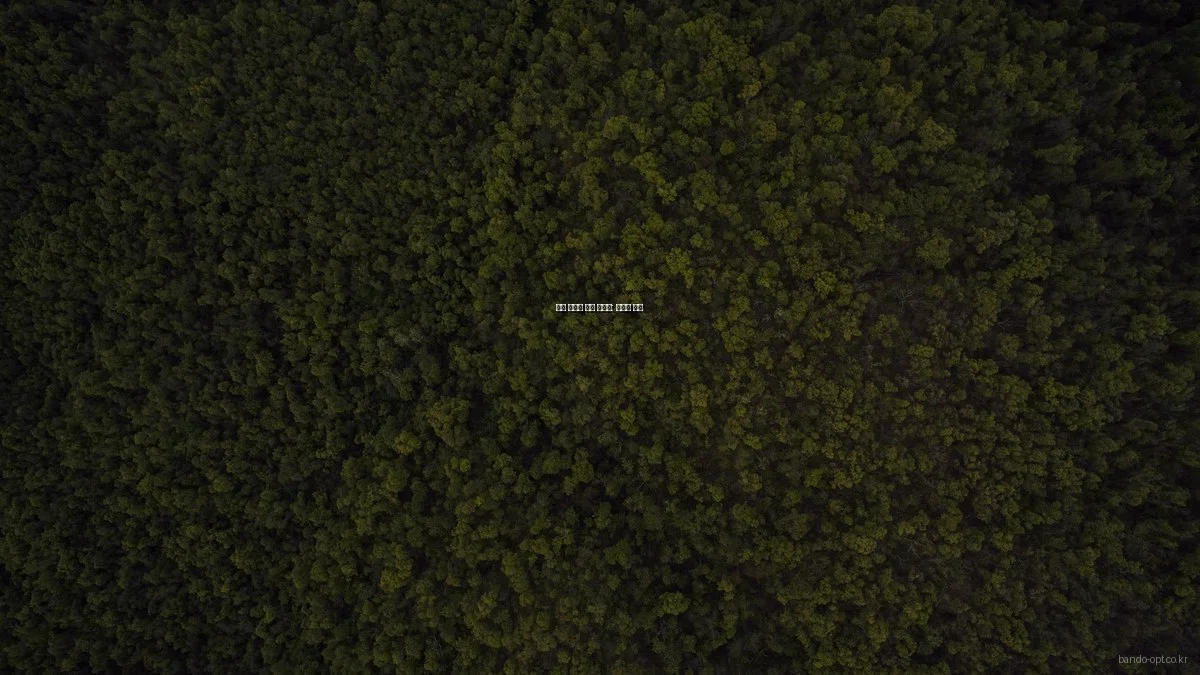 안경 프레임 선택 가이드: 초보자 필독