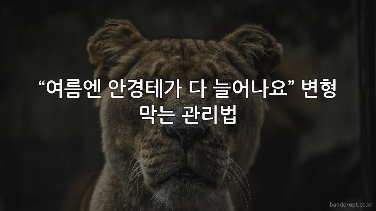 “여름엔 안경테가 다 늘어나요” 변형 막는 관리법