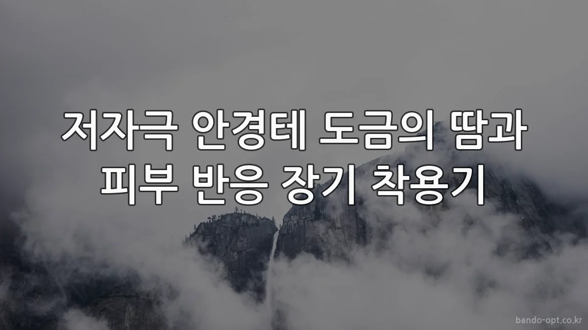 저자극 안경테 도금의 땀과 피부 반응 장기 착용기