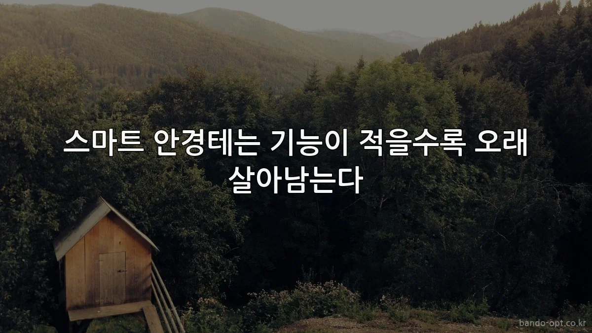 스마트 안경테는 기능이 적을수록 오래 살아남는다