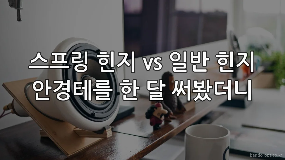 스프링 힌지 vs 일반 힌지 안경테를 한 달 써봤더니