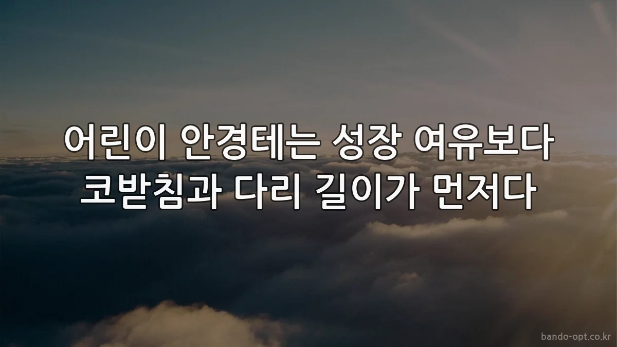 어린이 안경테는 성장 여유보다 코받침과 다리 길이가 먼저다