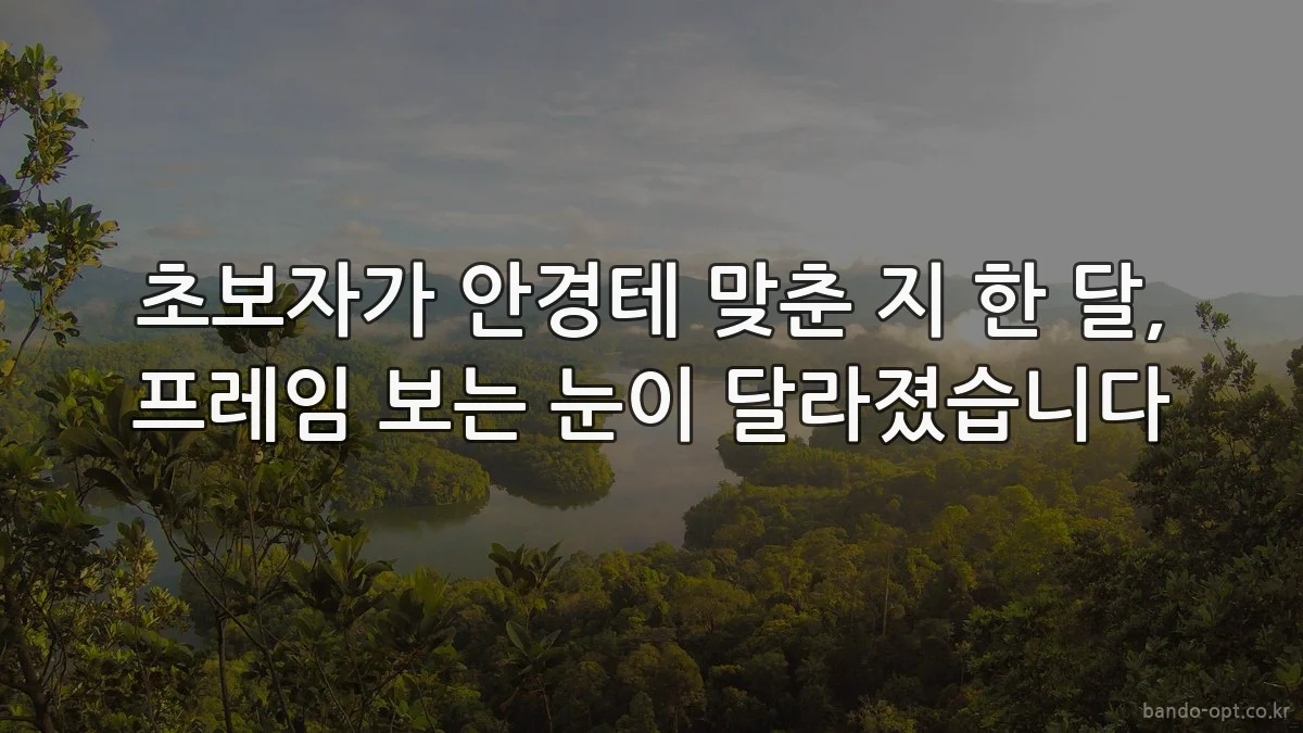 초보자가 안경테 맞춘 지 한 달, 프레임 보는 눈이 달라졌습니다