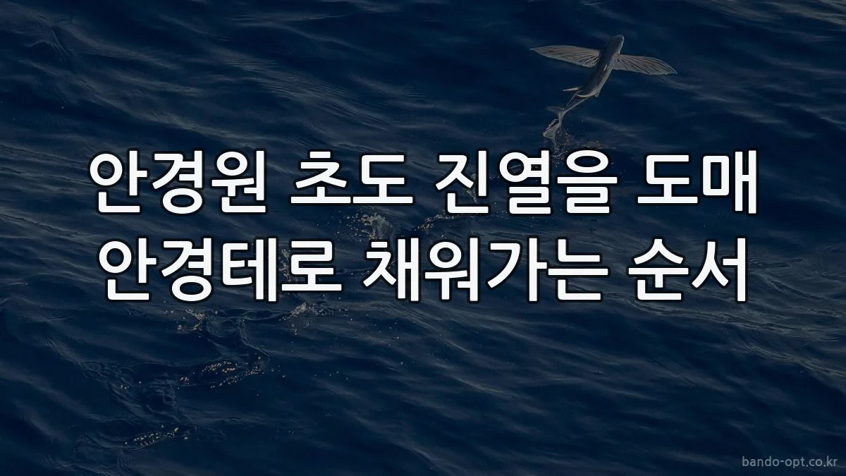 안경원 초도 진열을 도매 안경테로 채워가는 순서